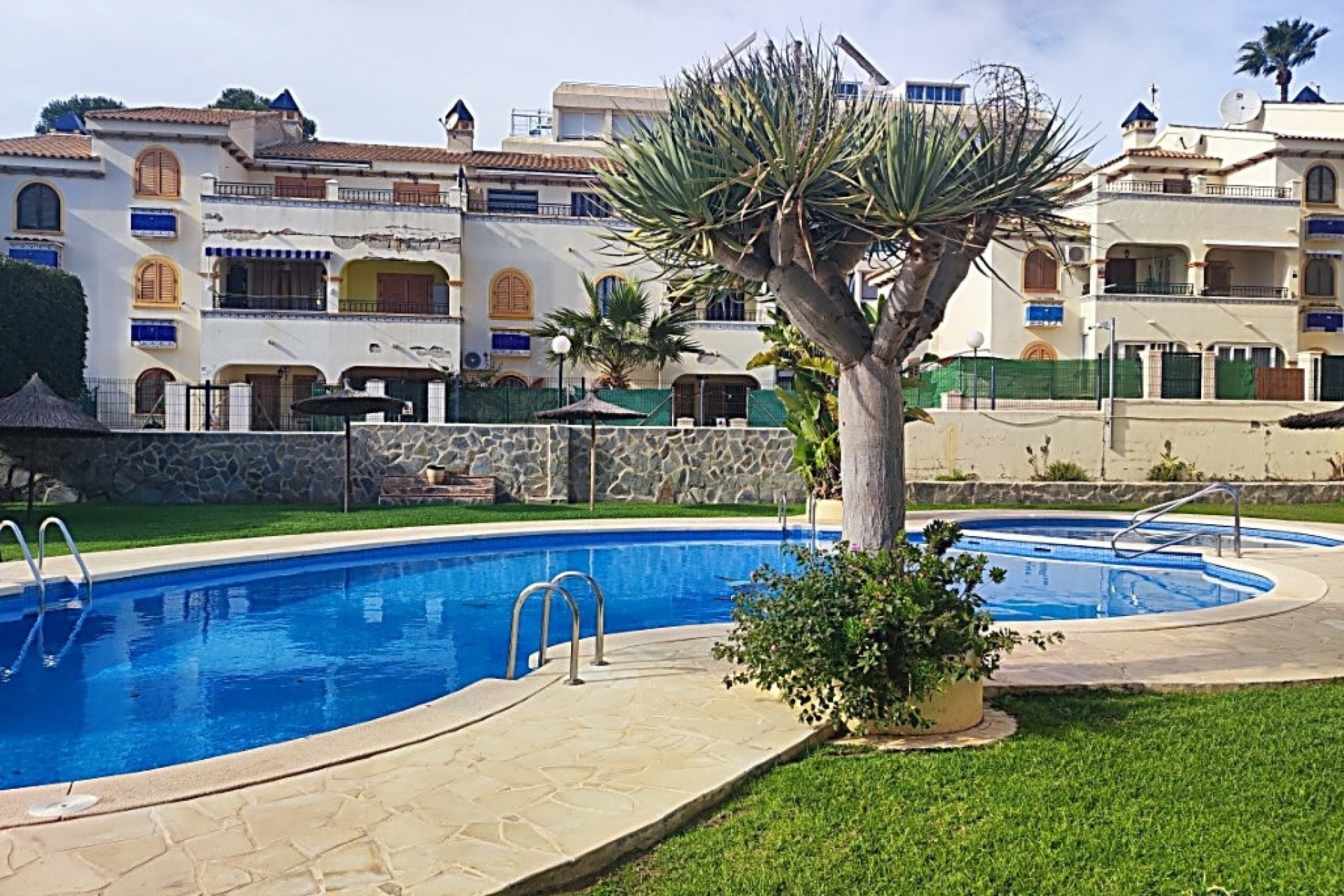 Imagen de Apartamento en Torrevieja